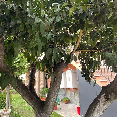 Un Sogno Nel Verde Acilia Exteriér fotografie